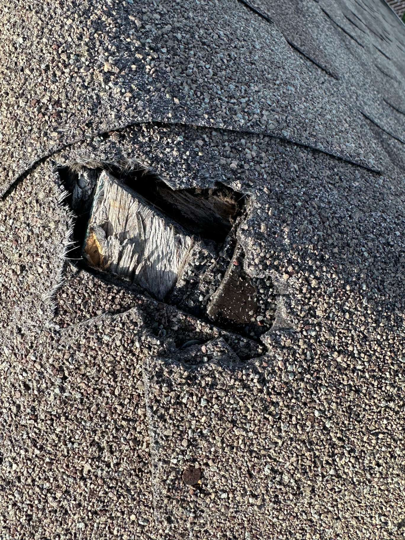 Close-up image showing significant roof ridge damage on a residential home near Preston Hollow Park in Dallas, TX. The photo highlights a hole in the asphalt shingles exposing the underlying wooden decking, indicating the need for roof repair or replacement.