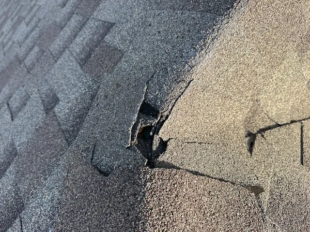 Close-up of storm-damaged asphalt shingles in Preston Hollow showing a puncture and torn roofing material needing repair.